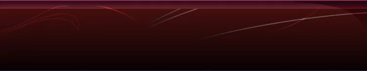 background category section